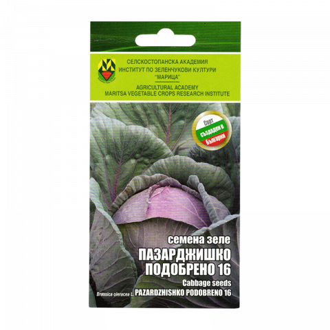 Семена ИЗК МАРИЦА Зеле Пазарджишко подобрено 16 - Семена за плодове и зеленчуци