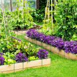 Декоративна ограда 6 модула Rossima Arco