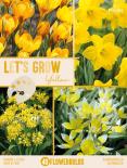 Луковици микс Let's Grow жълти