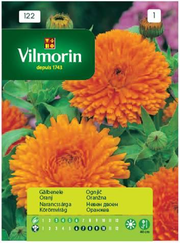 Календула Orange King - Вилморин - Семена за цветя