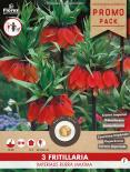 Луковици PP Фритилария 'Imperialis Rubra' 3бр.