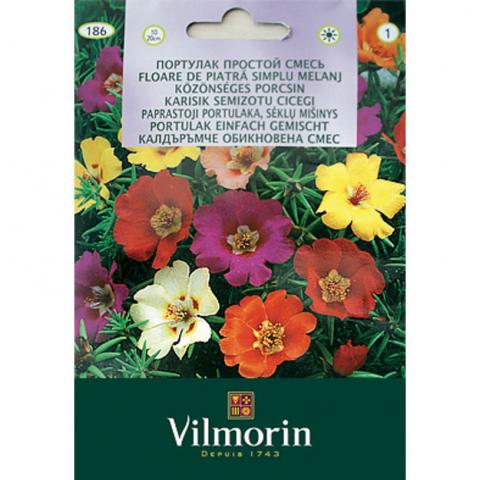 Калдъръмче смес - Вилморин - Семена за цветя
