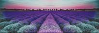 Декор Lavender Field Glass 25x75