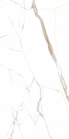 Гранитогрес Indigo Statuario 60x120, снимка 3 - Гранитогрес