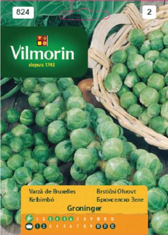 Брюкселско зеле GROENINGER - Вилморин, снимка 2 - Семена за плодове и зеленчуци