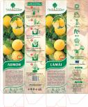 Цитрус-лимон корен пакетиран в саксия и кутия