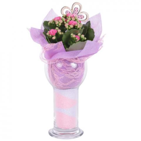 Каланхое в стъклена ваза Ф9см H25-30см - Цъфтящи