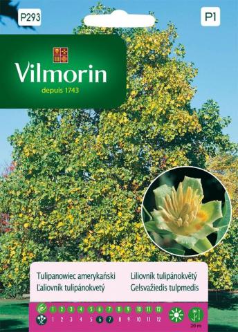 Вилморин семена Лирово дърво - Семена за цветя