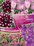 Луковици Let's Grow Colours Violet Shades