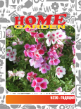 Семена за цветя HomeGarden ГОДЕЦИЯ