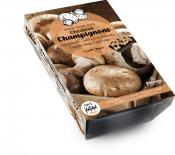 Комплект гъби специална хранителна среда, мицел