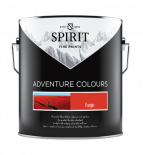 Цветна боя Spirit 2.5 л Пандзин