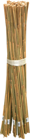 Бамбукови колчета  ТОНКИН - Колчета