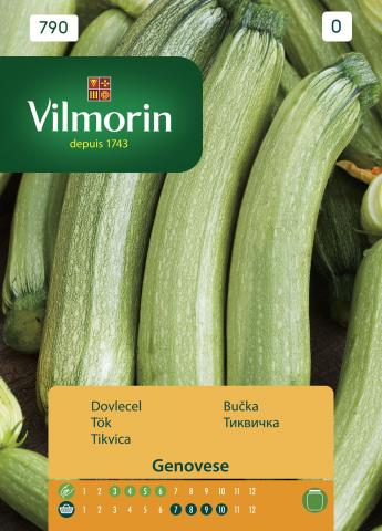 Тиквички - Вилморин, снимка 2 - Семена за плодове и зеленчуци