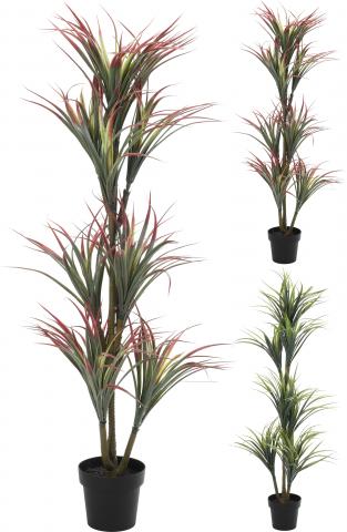 Голямо растение в саксия , 150см - Цветя в саксия