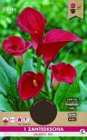 Луковици PURE Кала Majestic Red, 1бр