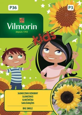 Вилморин семена Мини слънчоглед BIG SMILE - mini garden - Семена за плодове и зеленчуци