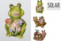 Соларни земноводни животни