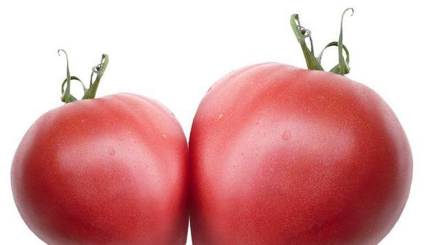 Разсад домат 6бр. Български селектирани сортове, снимка 3 - Външни растения