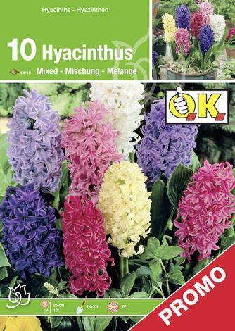 Луковици ОК мултибокс - Миксове