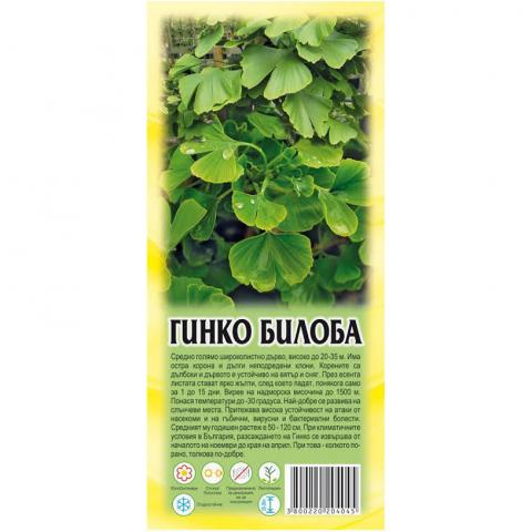 Гинкго билоба - корен в кутия - Листопадни храсти и дървета