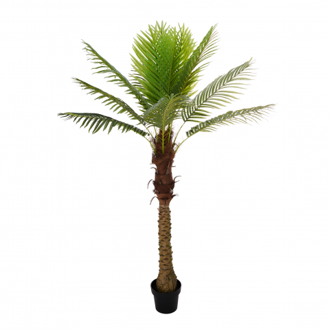 Изкуствена палма Areca H150 см - Цветя в саксия