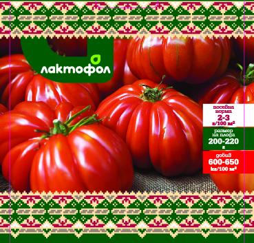 Български семена домати Албенга - Семена за плодове и зеленчуци