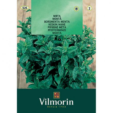 Мента - Вилморин - Семена за билки и подправки