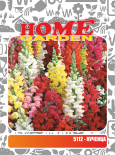 Семена за цветя HomeGarden КУЧЕНЦА НИСКИ МИКС