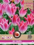 Луковици PP Лале Whispering Dream 20бр.