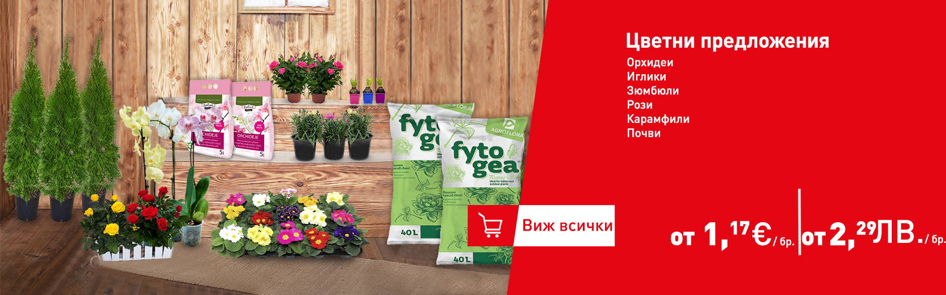 Цветни предложения