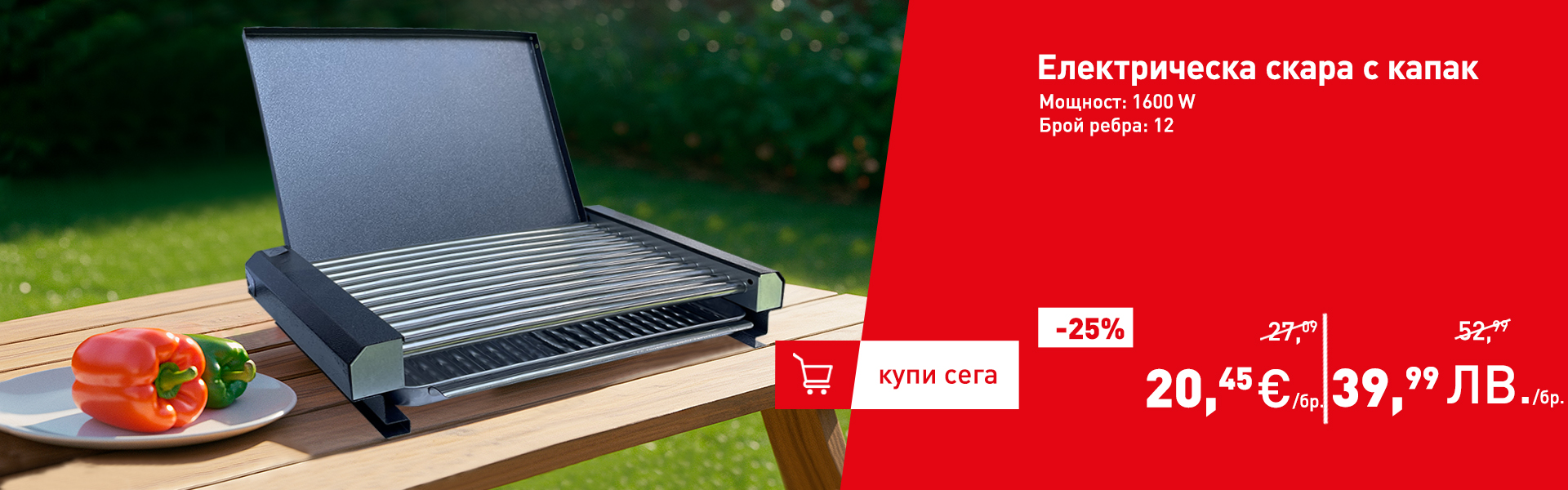 Електрическа скара